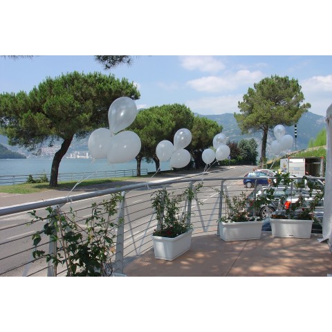 Palloncini G110 - Colori Pastello