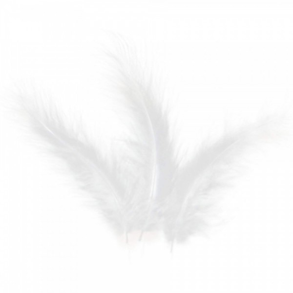 Piume Colorate Per Bubble