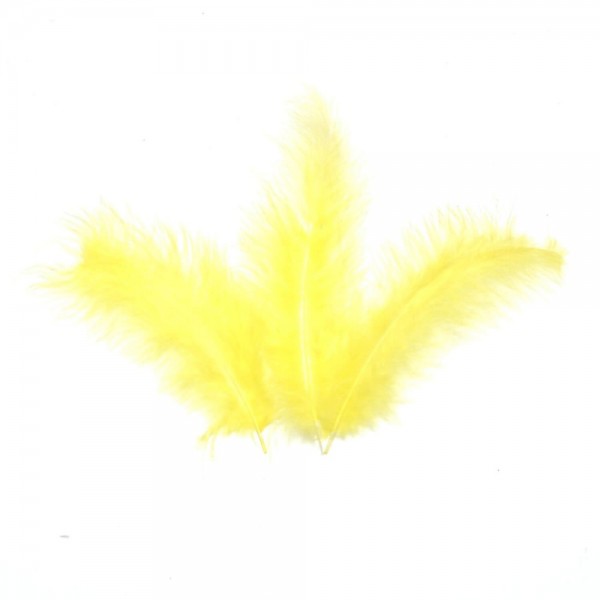 Piume Colorate Per Bubble