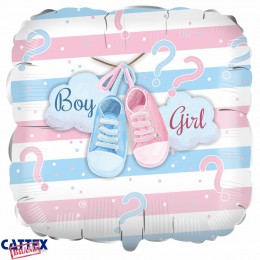 Gender Reveal - Boy Or...